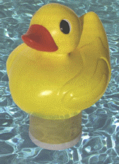 chlorine duck