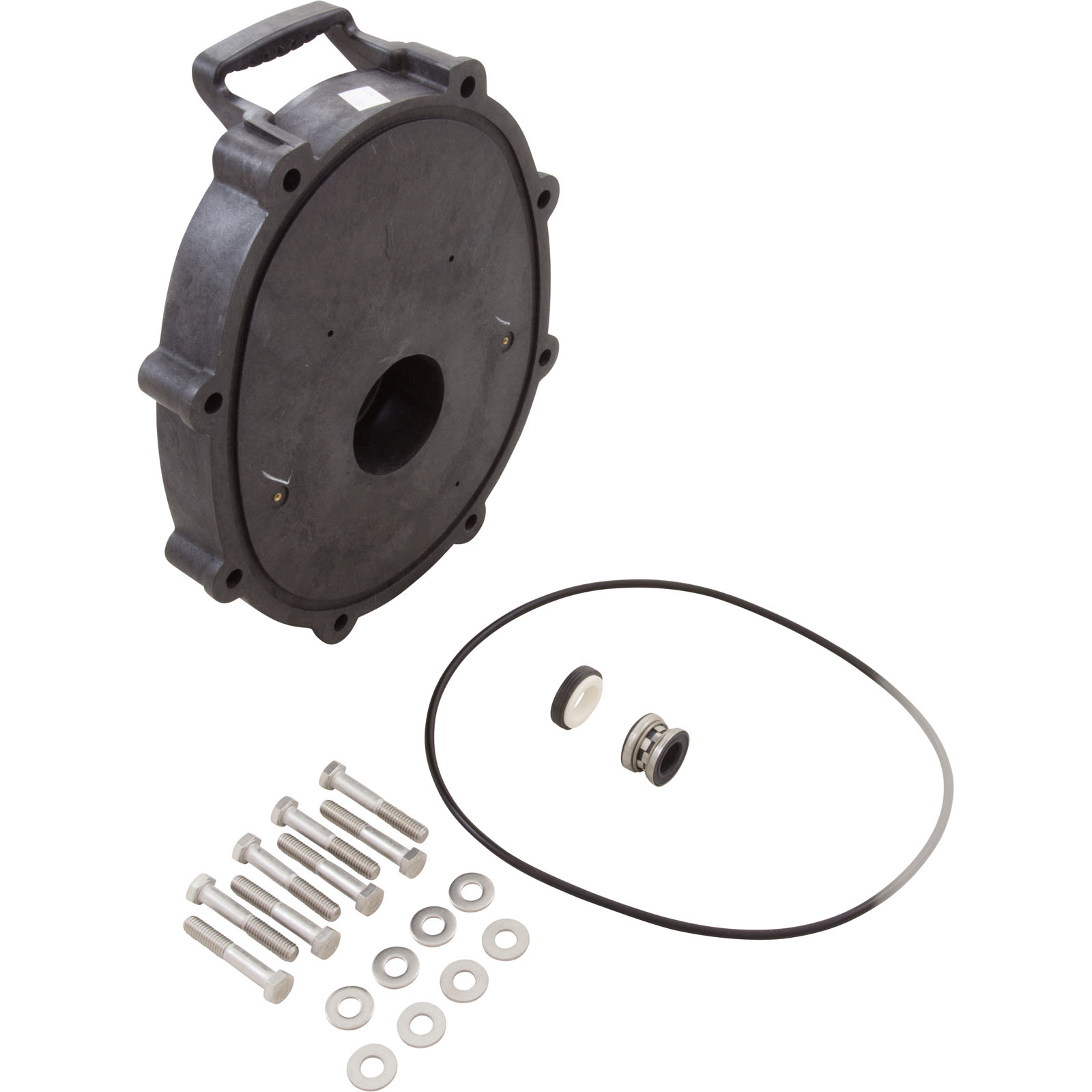 Jandy SHPF and SHPM Pump Lid Replacement Kit with O-ring | R0445800